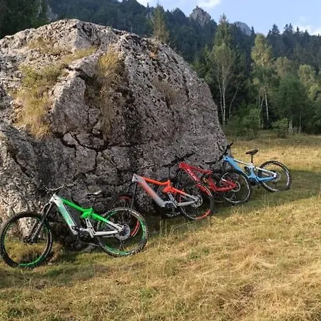 Apartament La Pineta *
