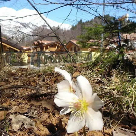 La Pineta Apartment Serina (Lombardy)